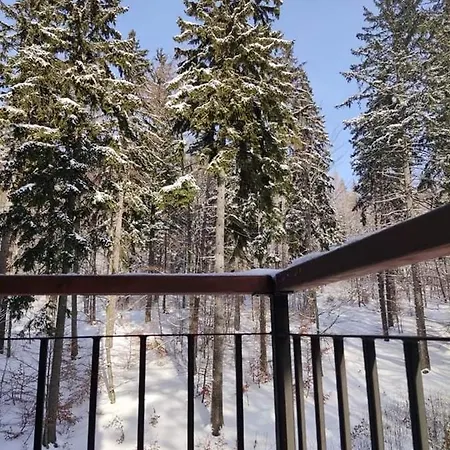 Trevilles - Hills Szklarska Poreba